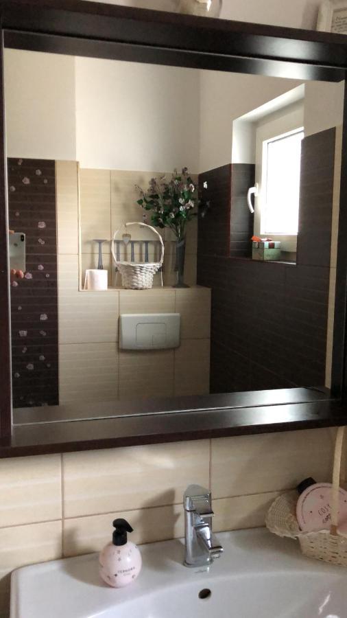 Apartament Cu 3 Camere La Poala Muntilor Fagaras Виктория Экстерьер фото