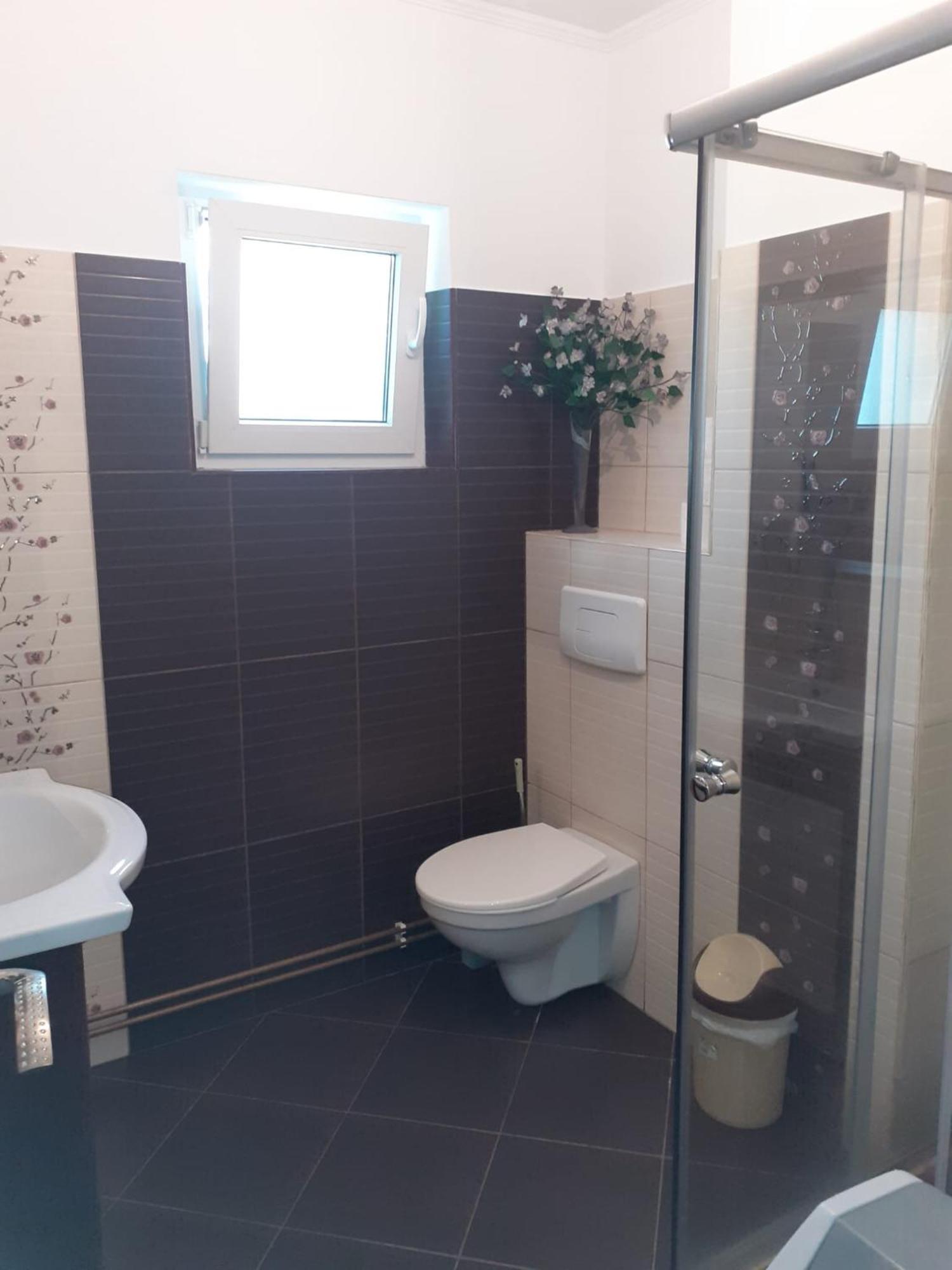 Apartament Cu 3 Camere La Poala Muntilor Fagaras Виктория Экстерьер фото