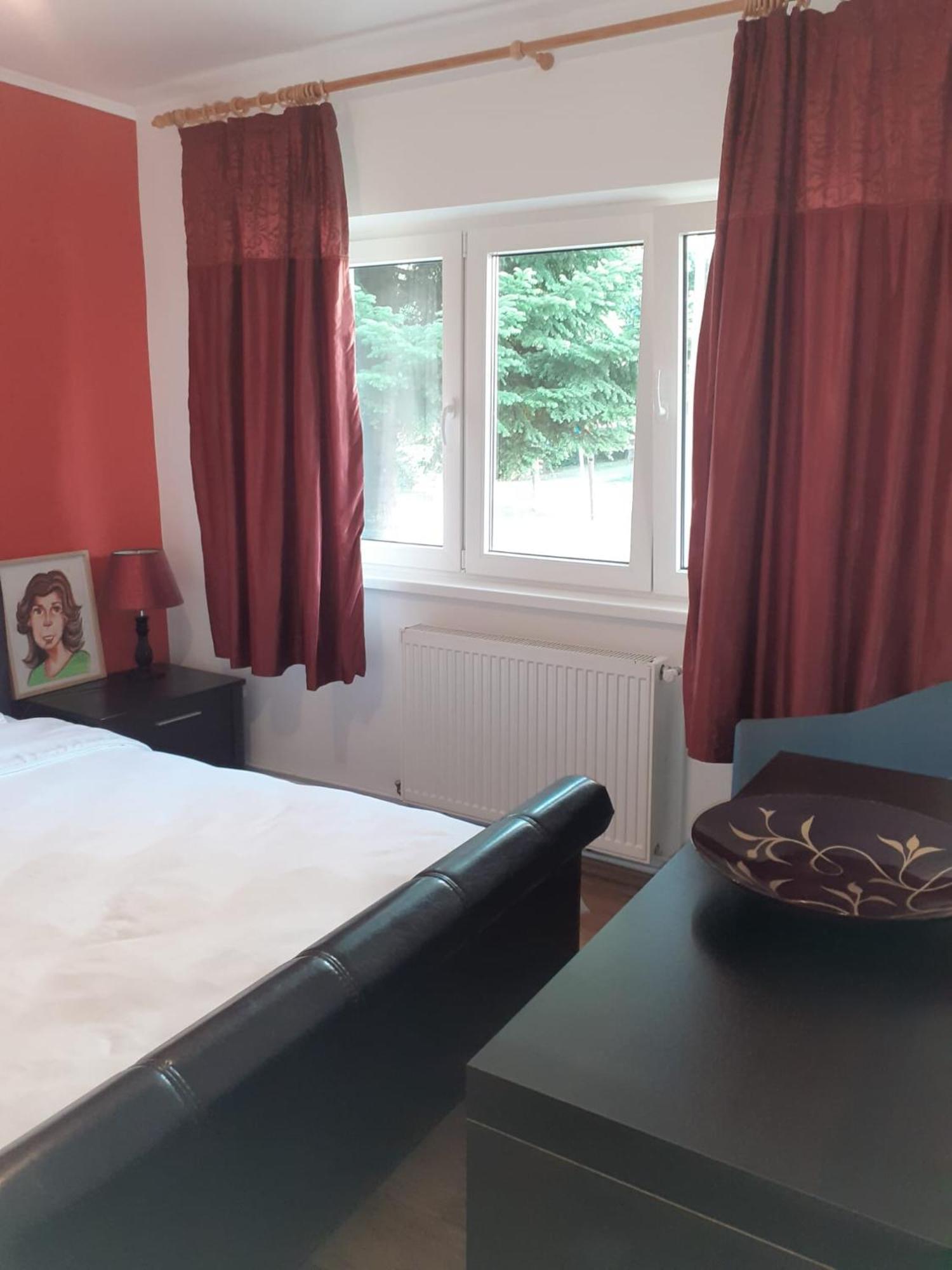 Apartament Cu 3 Camere La Poala Muntilor Fagaras Виктория Экстерьер фото