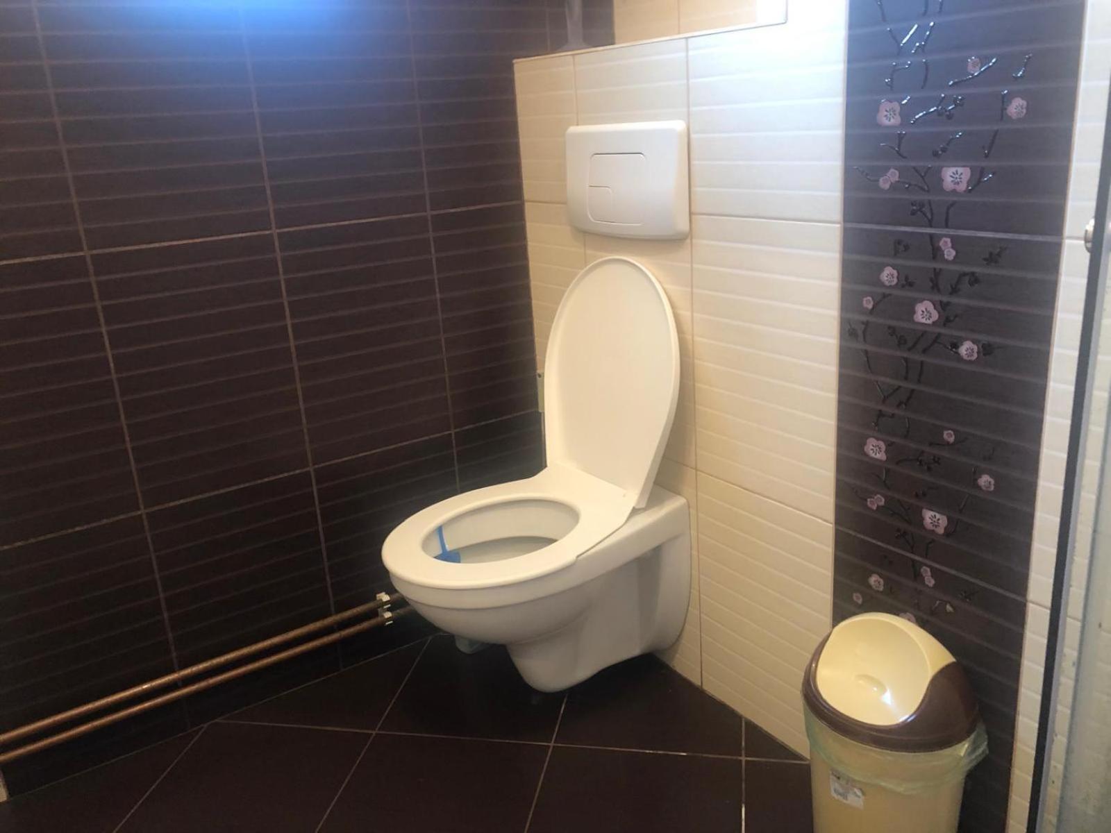 Apartament Cu 3 Camere La Poala Muntilor Fagaras Виктория Экстерьер фото