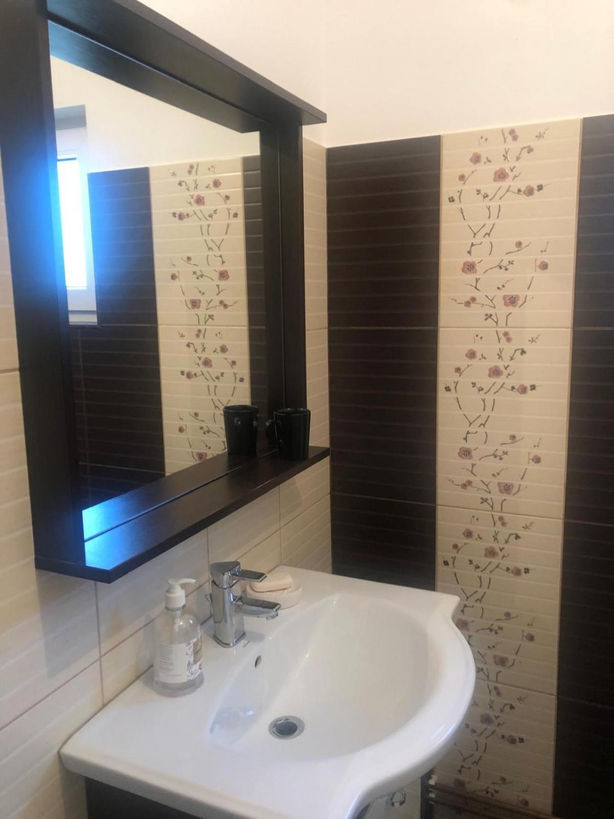 Apartament Cu 3 Camere La Poala Muntilor Fagaras Виктория Экстерьер фото