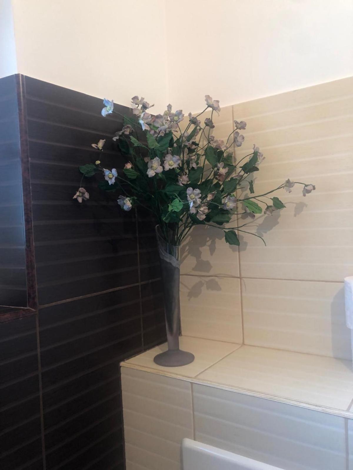 Apartament Cu 3 Camere La Poala Muntilor Fagaras Виктория Экстерьер фото