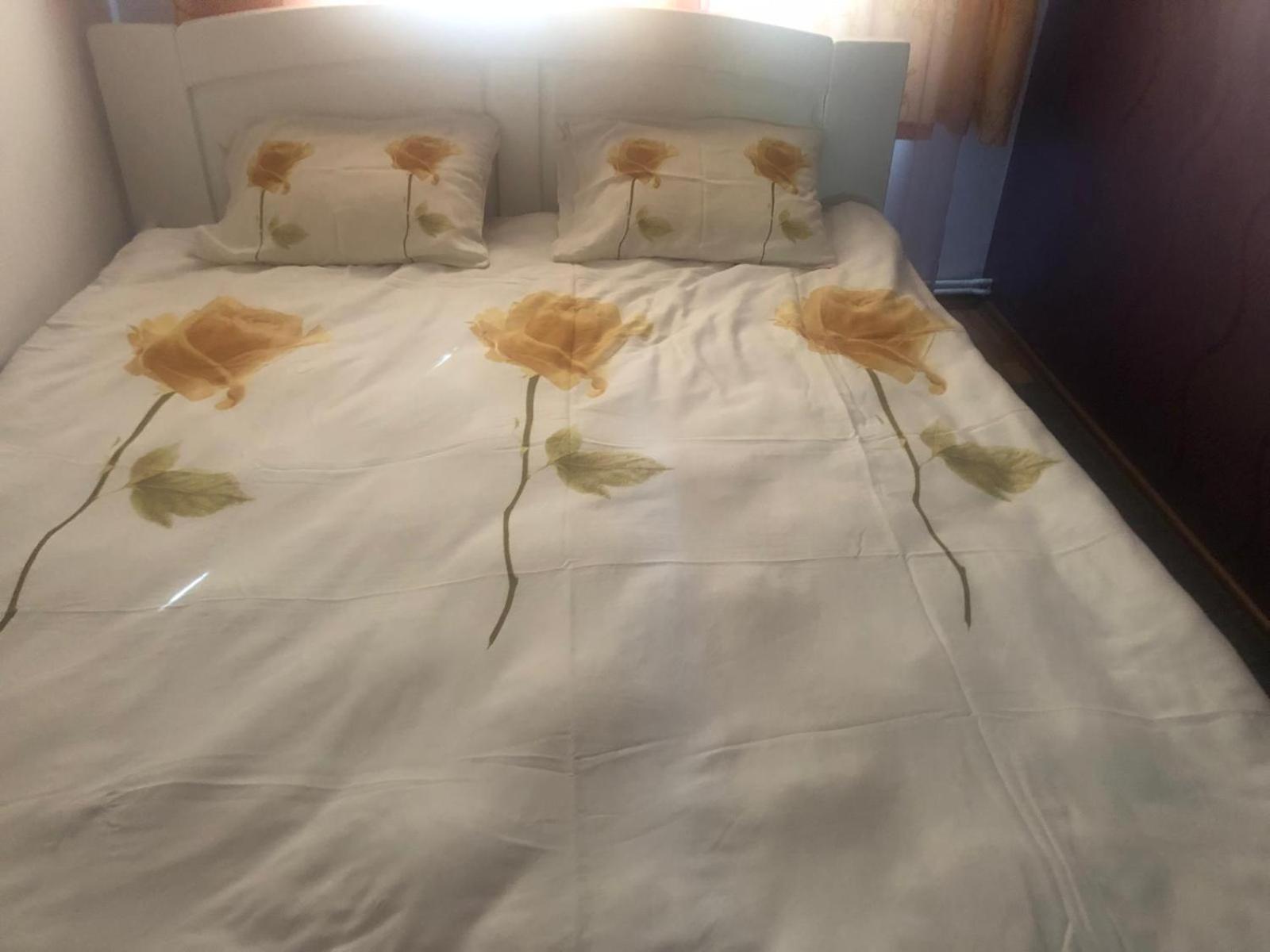 Apartament Cu 3 Camere La Poala Muntilor Fagaras Виктория Экстерьер фото