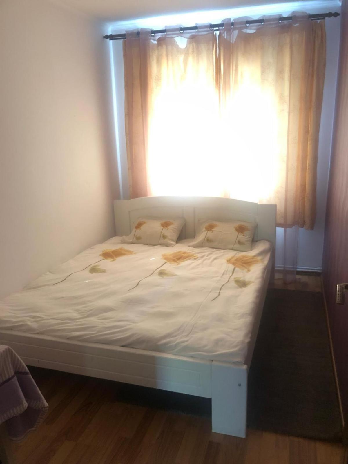 Apartament Cu 3 Camere La Poala Muntilor Fagaras Виктория Экстерьер фото