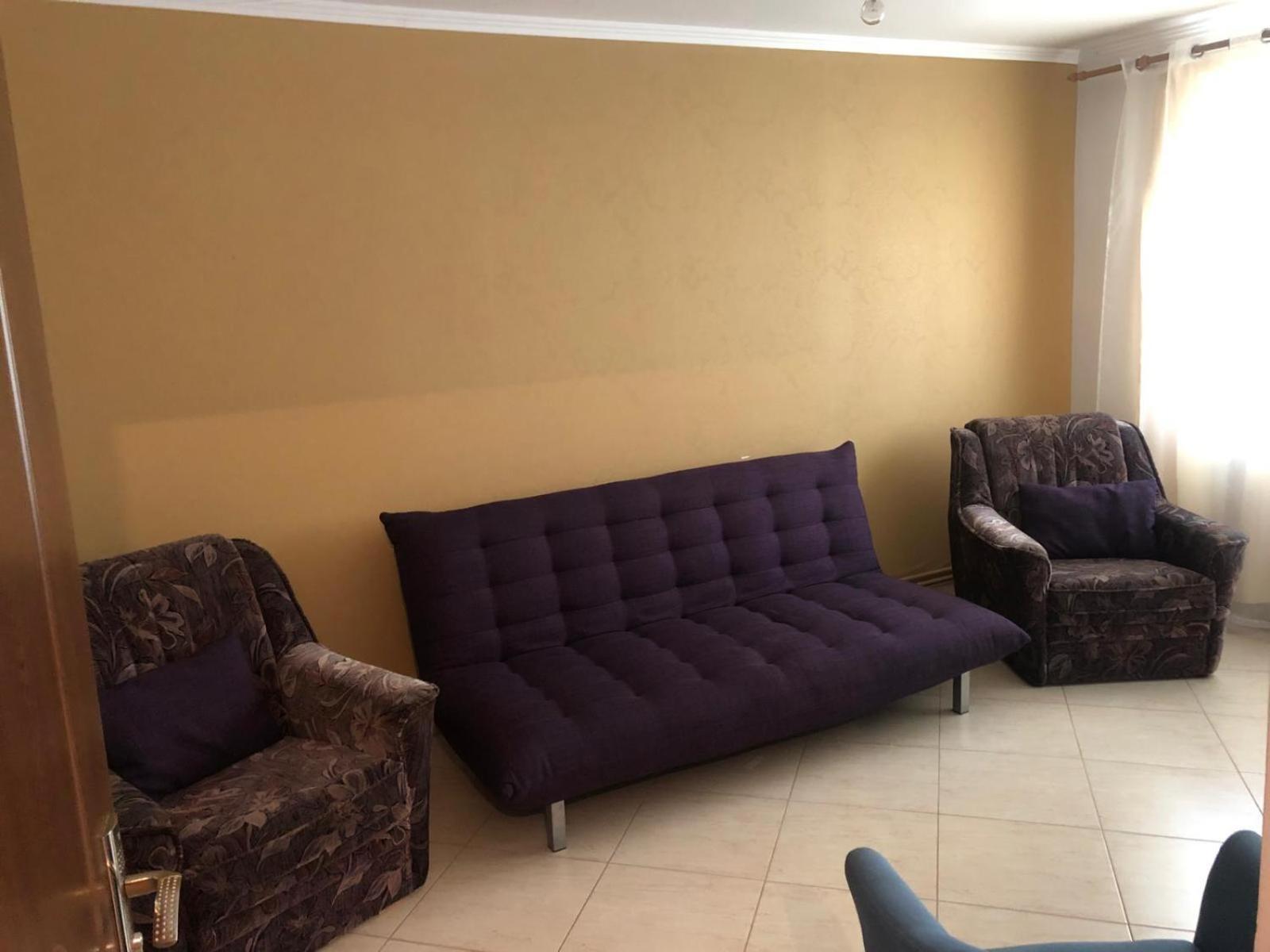 Apartament Cu 3 Camere La Poala Muntilor Fagaras Виктория Экстерьер фото